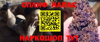 стаф Будённовск