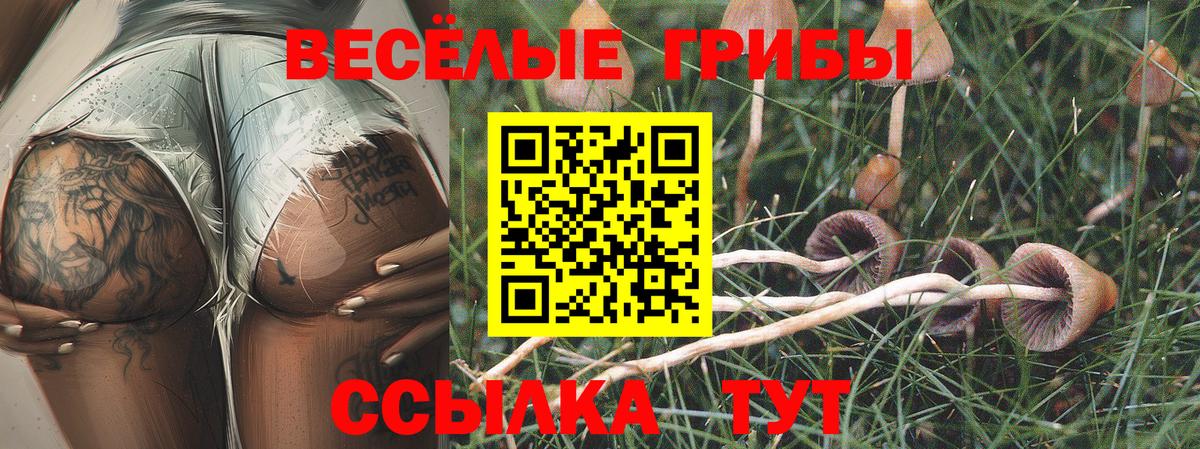 Галлюциногенные грибы GOLDEN TEACHER  Вход с VPN  Усолье-Сибирское  Псилоцибиновые грибы Magic Shrooms 