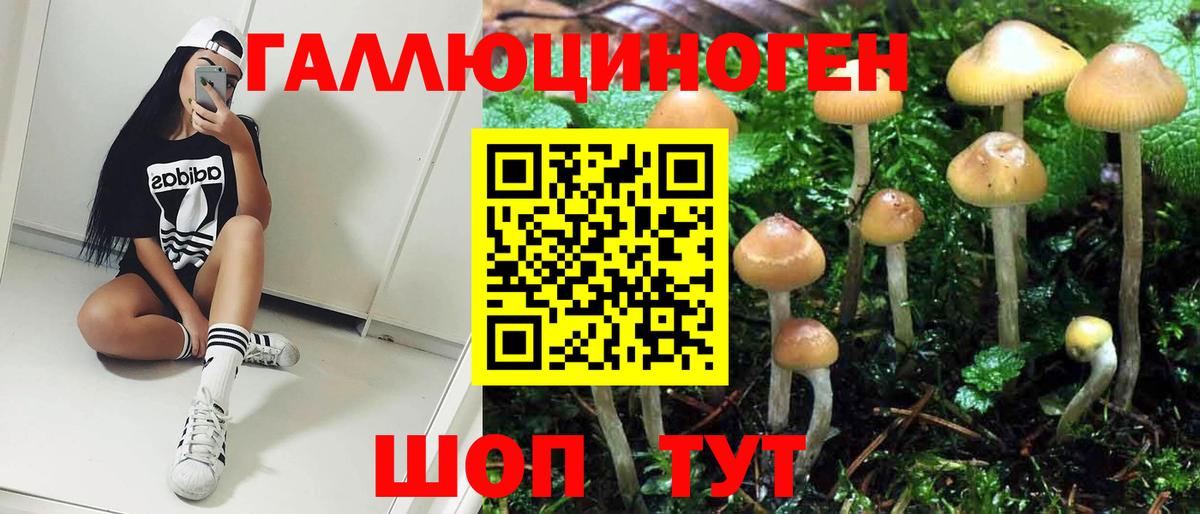 Псилоцибиновые грибы Psilocybe Усолье-Сибирское